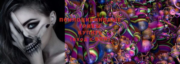 трава Балахна