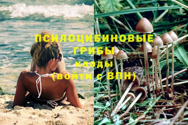трава Балахна