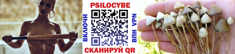 Псилоцибиновые грибы Cubensis наркошоп Рудня